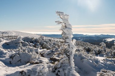 Kışın güzel kar kaplı dağ manzarası