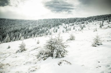 Kışın güzel kar kaplı dağ manzarası