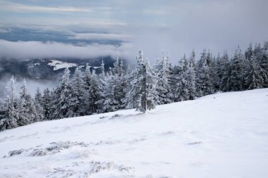 Kışın güzel kar kaplı dağ manzarası