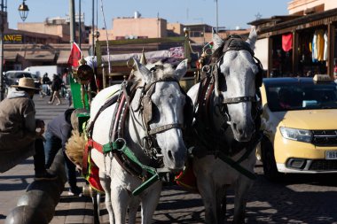 MARRAKESH, MOROCCO - 4 Aralık 2025: Yerliler ve turistler, Unesco dünya mirasının bir parçası olan Marakeş eski Medine sokaklarında ve geleneksel pazarlarda günlük işlerine devam ediyorlar