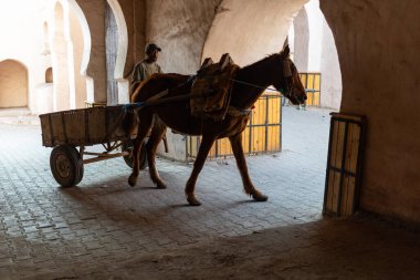 MARRAKESH, FOCCO - 4 ARALIK 2025: Marakeş 'te garson