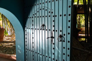 Marakeş 'te palmiye ve kaktüslü egzotik bir bahçe.