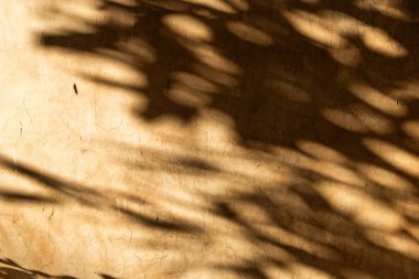 Sarı güneş, arka planı gölgeli aydınlattı.