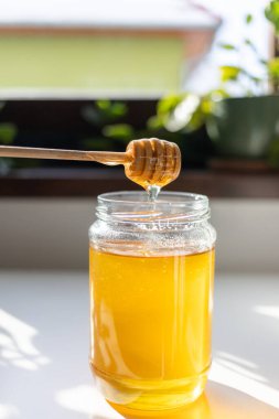 organik bal, ahşap bir kaptan cam bir kavanoza damlıyor.,