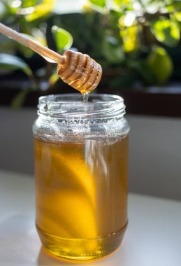 organik bal, ahşap bir kaptan cam bir kavanoza damlıyor.,