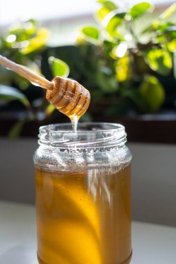 organik bal, ahşap bir kaptan cam bir kavanoza damlıyor.,