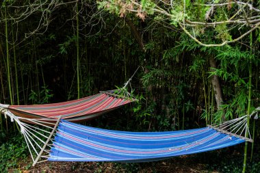 Parlak yeşil bahçedeki hamaklar