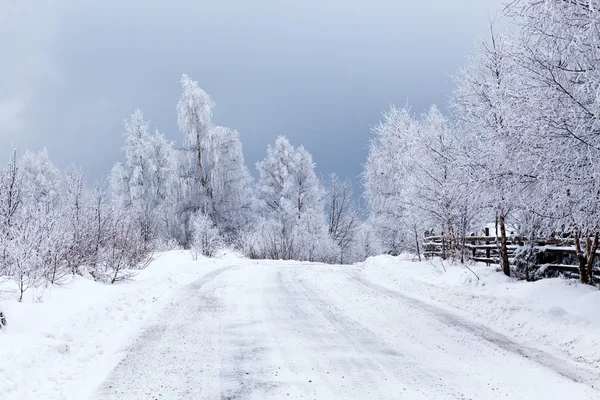 Paisagem de inverno com abetos nevados — Fotografia de Stock