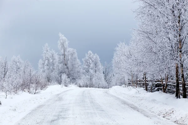 Зимний пейзаж со снежными елками — стоковое фото