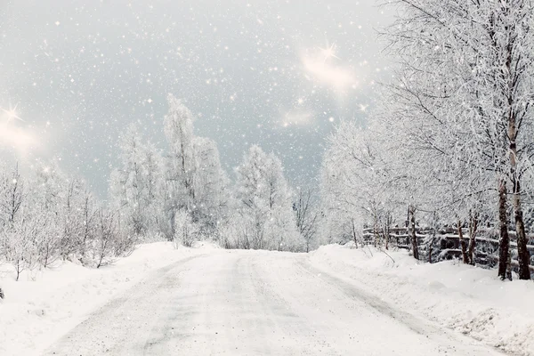 冬季景观与雪杉树 — 图库照片