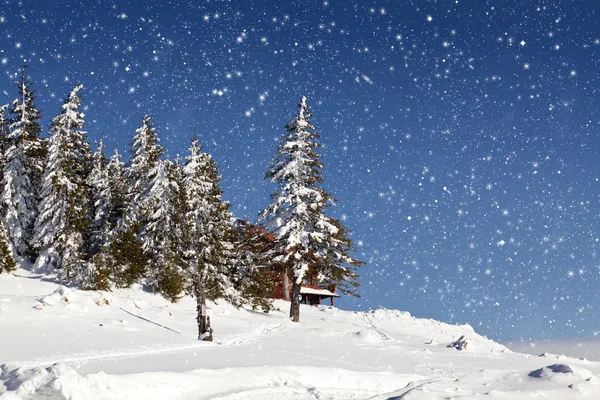 Zimowy pejzaż z snowy jodły — Zdjęcie stockowe