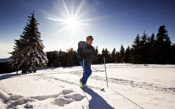 Längdskidåkare - snöiga bergen i bakgrunden — Stockfoto