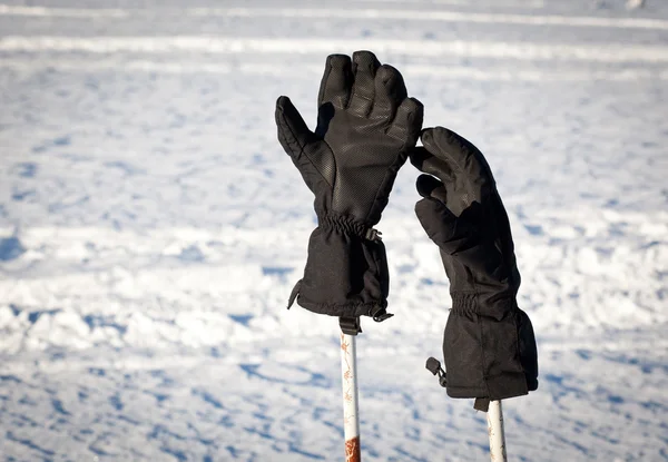 Ski gloves on stick