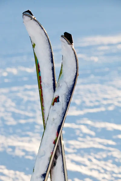 Par cross skidor i snön — Stockfoto