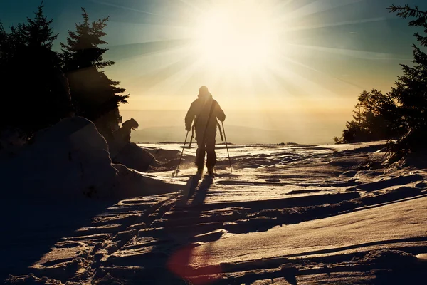 Esquiador de fundo que chega à cimeira ao pôr do sol — Fotografia de Stock