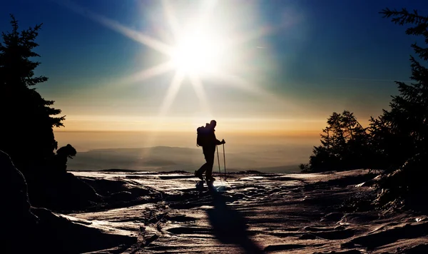 Backcountry lyžař dosáhl vrcholu při západu slunce — Stock fotografie