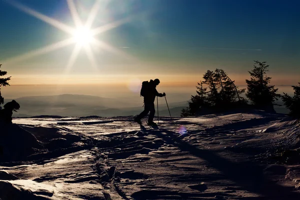 Gün batımında zirveye ulaşan backcountry kayakçı — Stok fotoğraf