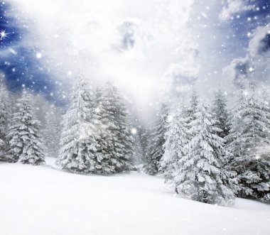 Karlı köknar ağaçları ile Noel arkaplanı