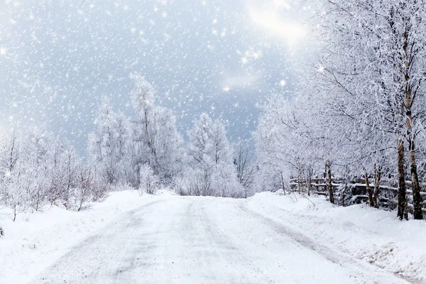 Fondo de Navidad con abetos nevados —  Fotos de Stock