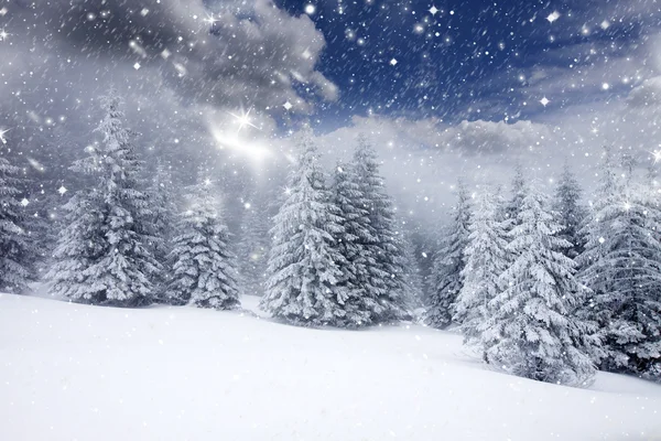 Kerst achtergrond met besneeuwde dennenbomen — Stockfoto