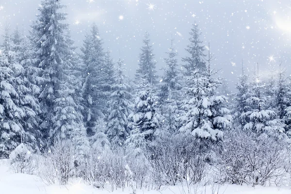 Рождественский фон со снежными елками — стоковое фото