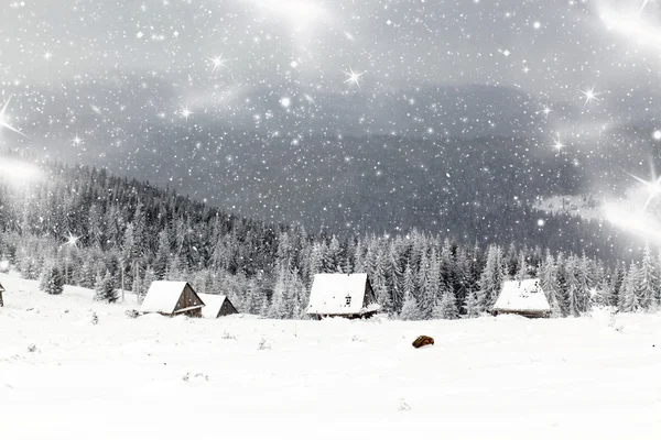Świąteczne tło ze śnieżnymi jodłami — Zdjęcie stockowe