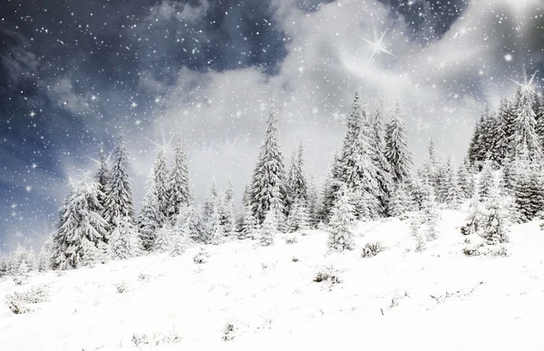 Fond de Noël avec sapins neigeux — Photo