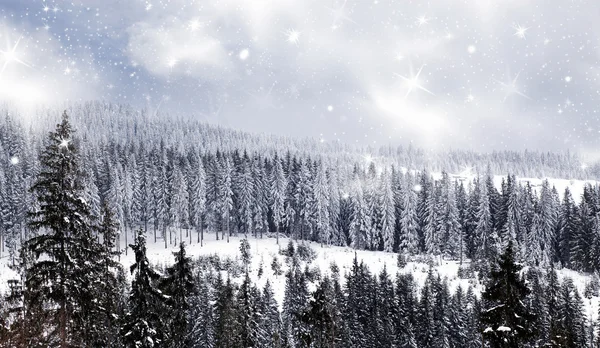 Joulun tausta lumisilla kuusilla — kuvapankkivalokuva