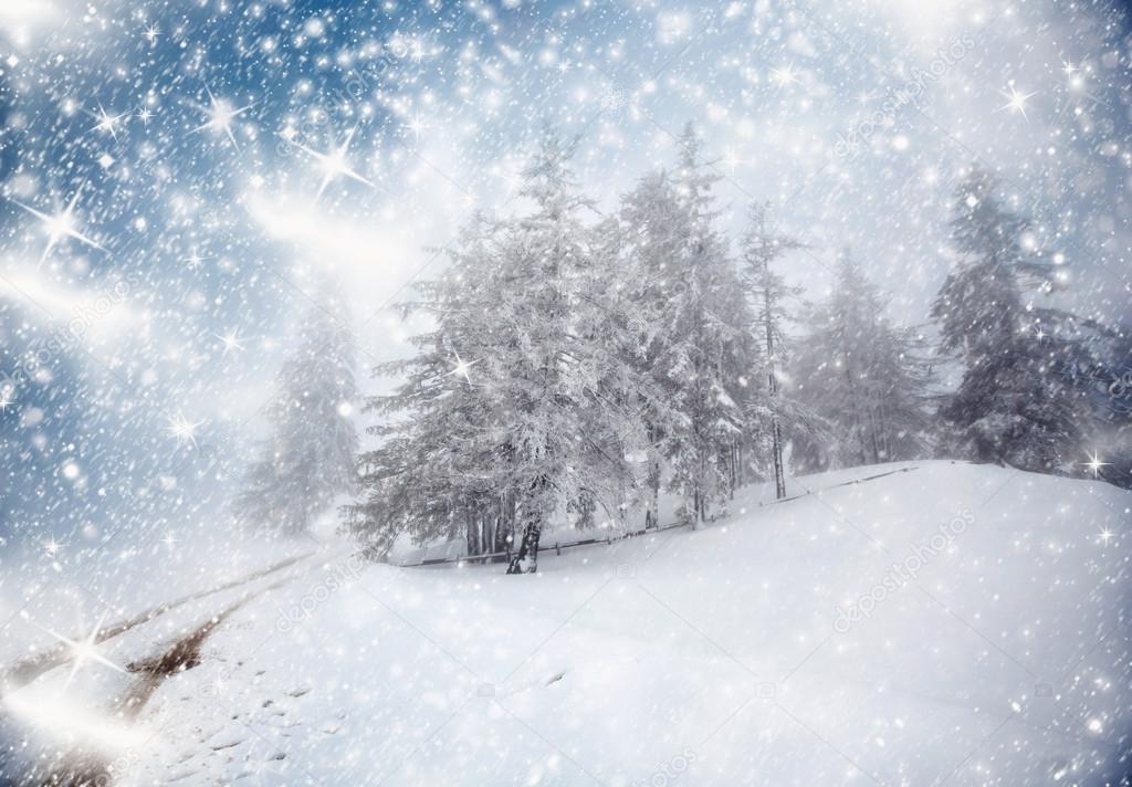 Christmas background with snowy fir trees