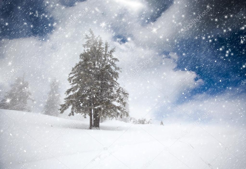 Christmas background with snowy fir trees