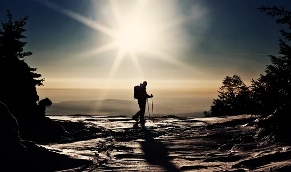 Esquiador de backcountry llegando a la cumbre al atardecer — Foto de Stock