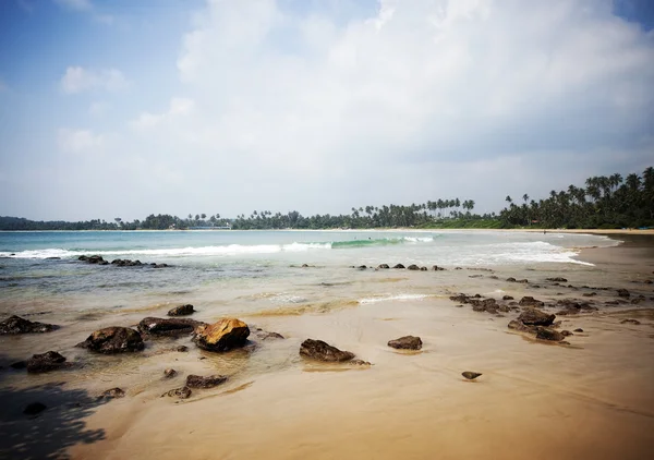Srí-Lanka trópusi tengerpart — Stock Fotó