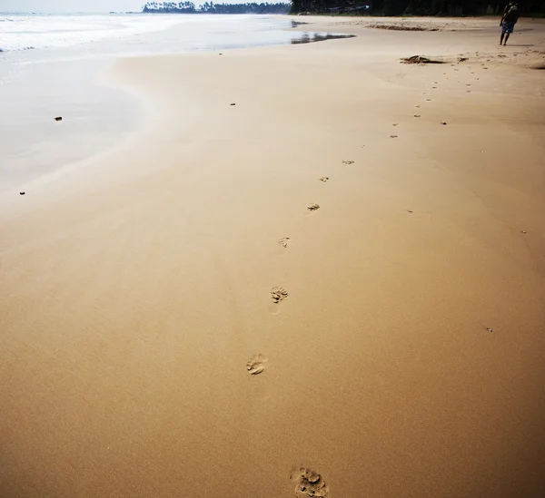 Footprints on beach — Stock Photo, Image