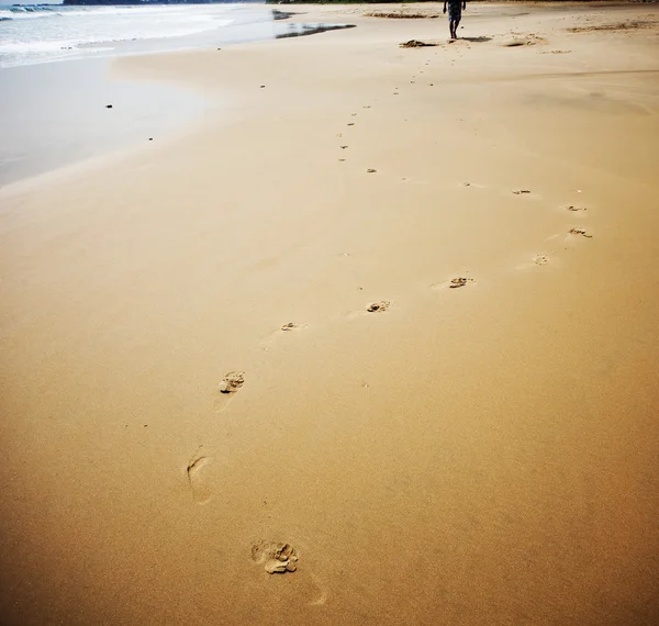 Impronte sulla spiaggia — Foto Stock