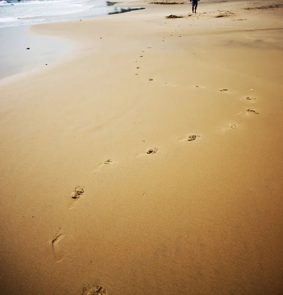 Footprints on beach — Stock Photo, Image