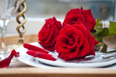 Kırmızı güller ile plaka üzerinde ayarlama - Sevgililer kutluyor tablo