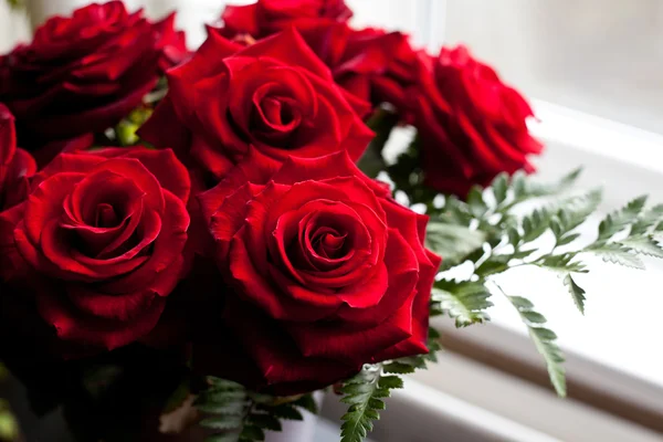 Cenário de mesa com rosas vermelhas no prato - celebrando o Dia dos Namorados — Fotografia de Stock