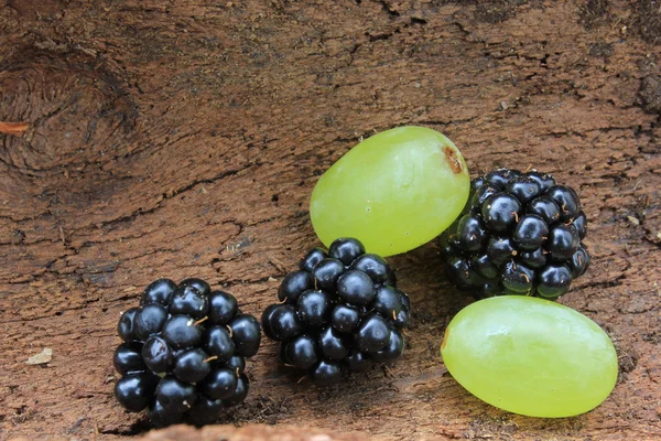 Still Life Blackberry — стоковое фото