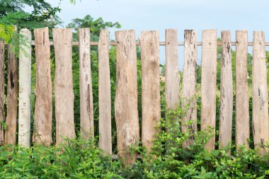 Bahçedeki ahşap çit