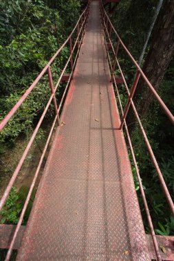 Orman gözetleme kulesi