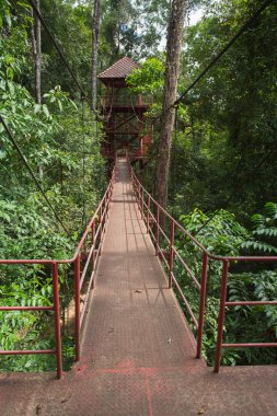 Orman gözetleme kulesi