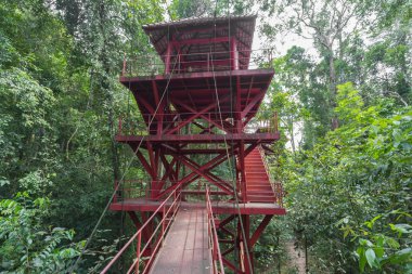 Orman gözetleme kulesi