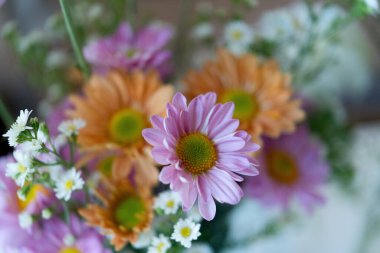 Bir çiçeğin yakın plan portresi çeşitli renkli çiçeklerin bir buket ya da vazo ya da odak noktası için bulanık bir arkaplan şeklinde bir araya toplanması..