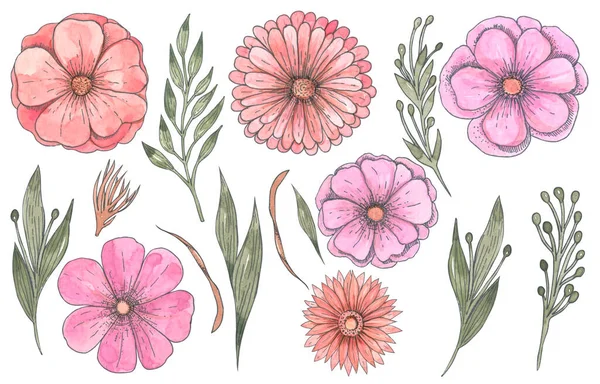 白を基調としたヴィンテージフラワーコレクション可愛いピンクの花と緑のセット — ストック写真