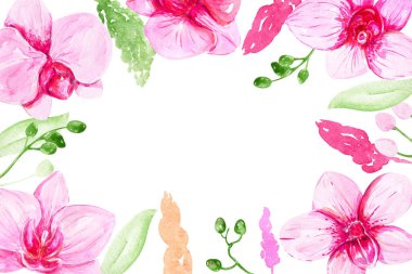 Pembe Orkide çerçevesi, tebrik kartları, davetiye kartları, kartlar, kopyalama alanı için el boyaması tropikal çiçeğe tırmanır