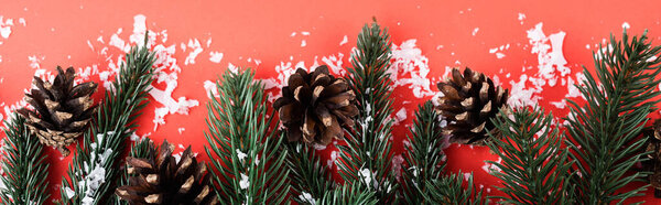 Pine cones with fir branches and artificial snow, new year concept, banner