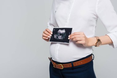cropped view of young pregnant businesswoman holding ultrasound scan isolated on grey clipart