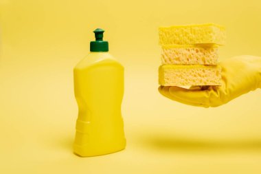 Sarı arka planda bulaşık deterjanı yanında sünger tutan lastik eldivenli insan görüntüsü.