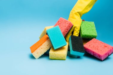 Mavi arka planda renkli süngerlerin yanındaki lastik eldivenli kişinin kırpılmış görüntüsü