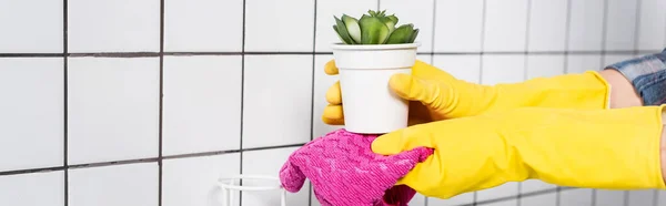バスルームでのラグと女性の清掃工場の作物ビュー バナー — ストック写真